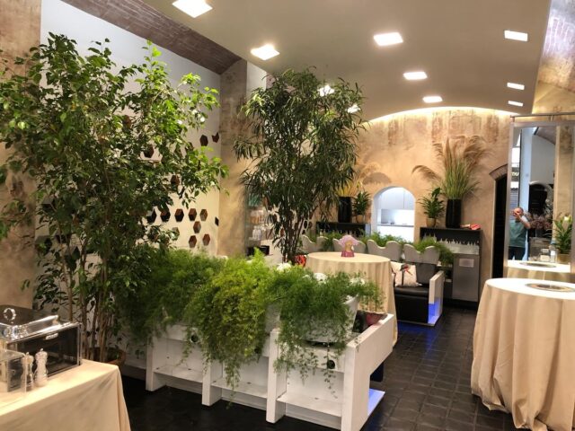 Il salone Renato Firenze si è trasformato in un giardino per accogliere amici e collaboratori per festeggiare i 30 anni di lavoro di Consuelo da Renato Firenze . Grazie per la collaborazione a @giardinotorrigiani 
@deliziaricevimenti